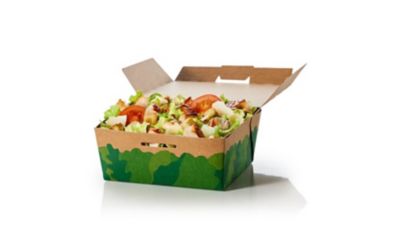 The Caesar Salad Grilled Chicken
