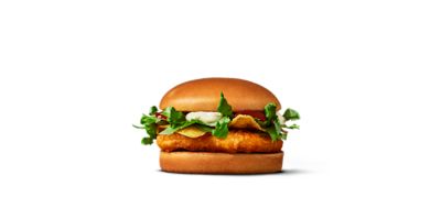 Chicken Salsa