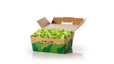 Small Green Salad