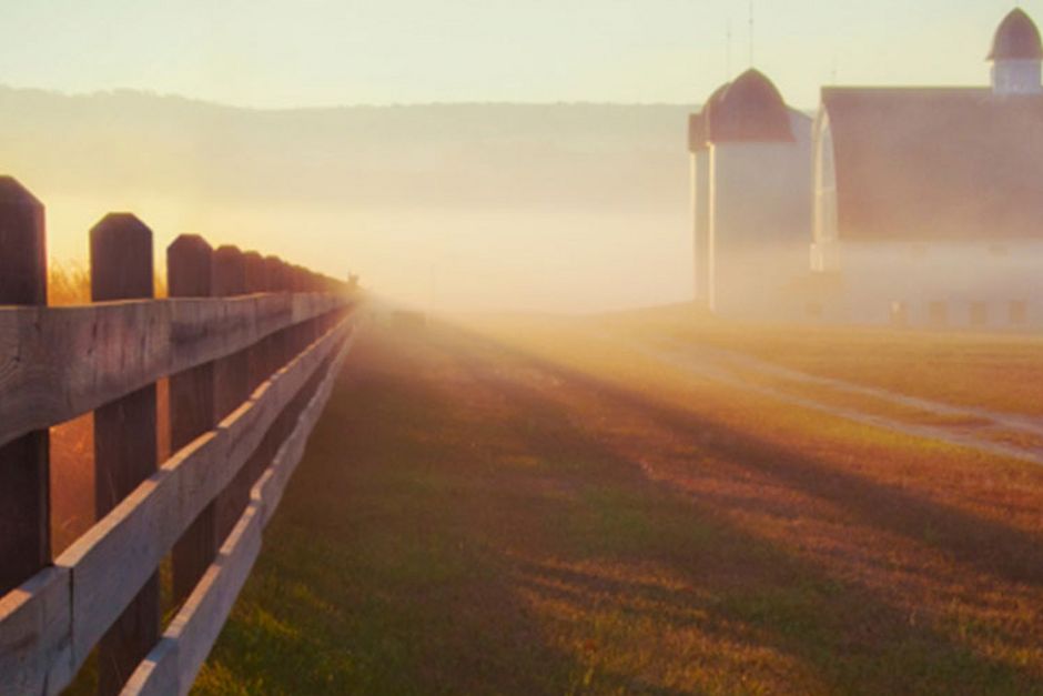 lee la historia de keystone foods