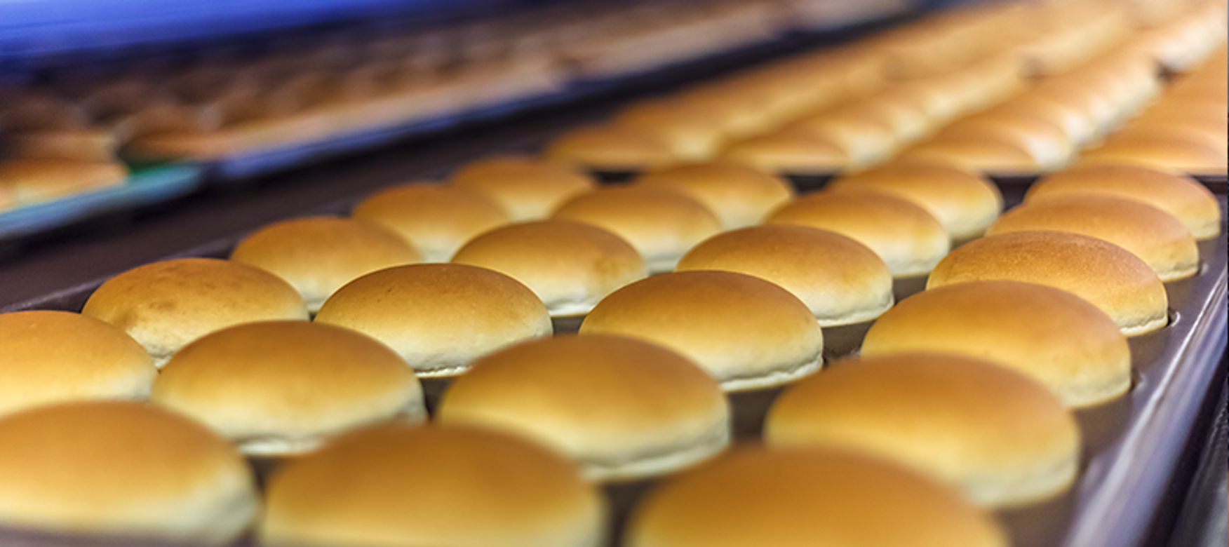 Burger Buns von Lieken im Ofen