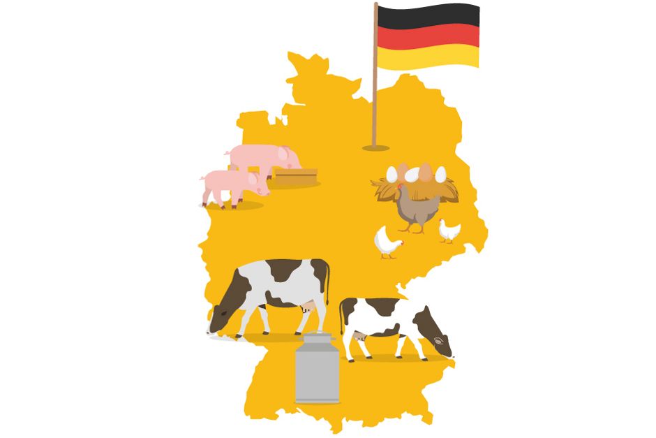 Piktogramm, das zeigt, welche Zutaten bereits zu 100 Prozent aus Deutschland kommen.