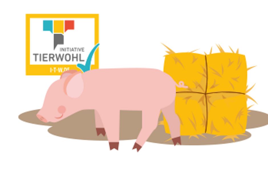 Piktogramm mit einem Schwein und dem Logo von Initiative Tierwohl