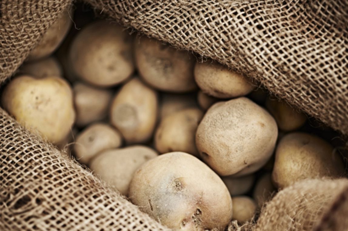 learn more about a potato farmer, 100 circle farms