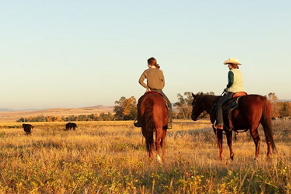 CRSB Certified beef sustainability stamp