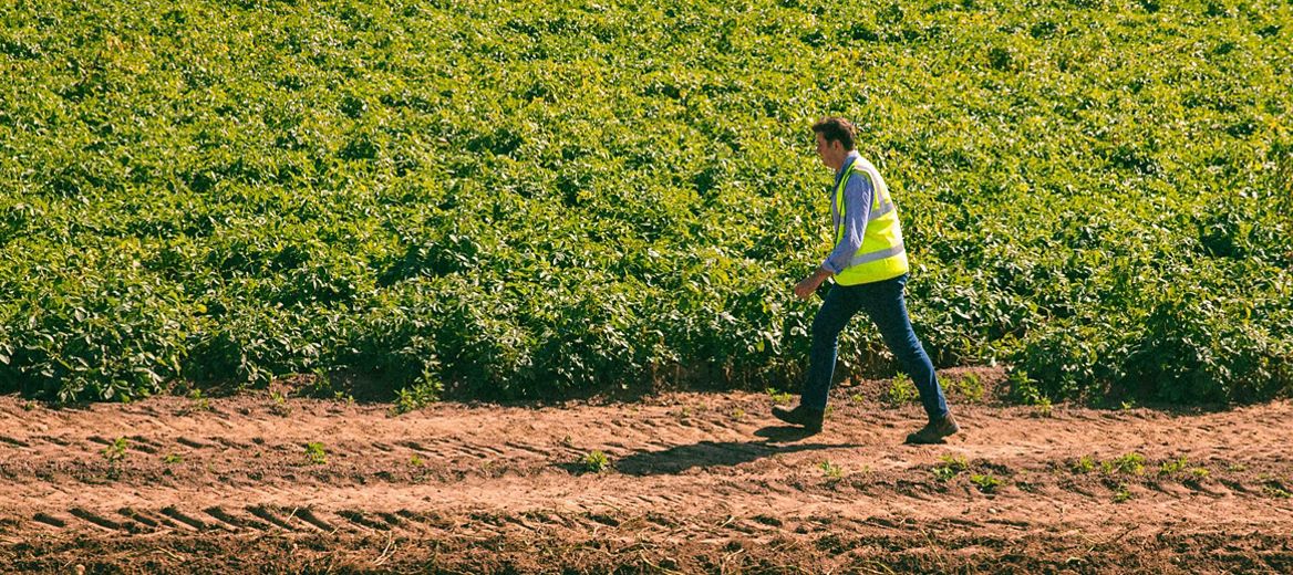 Farmer in a field
