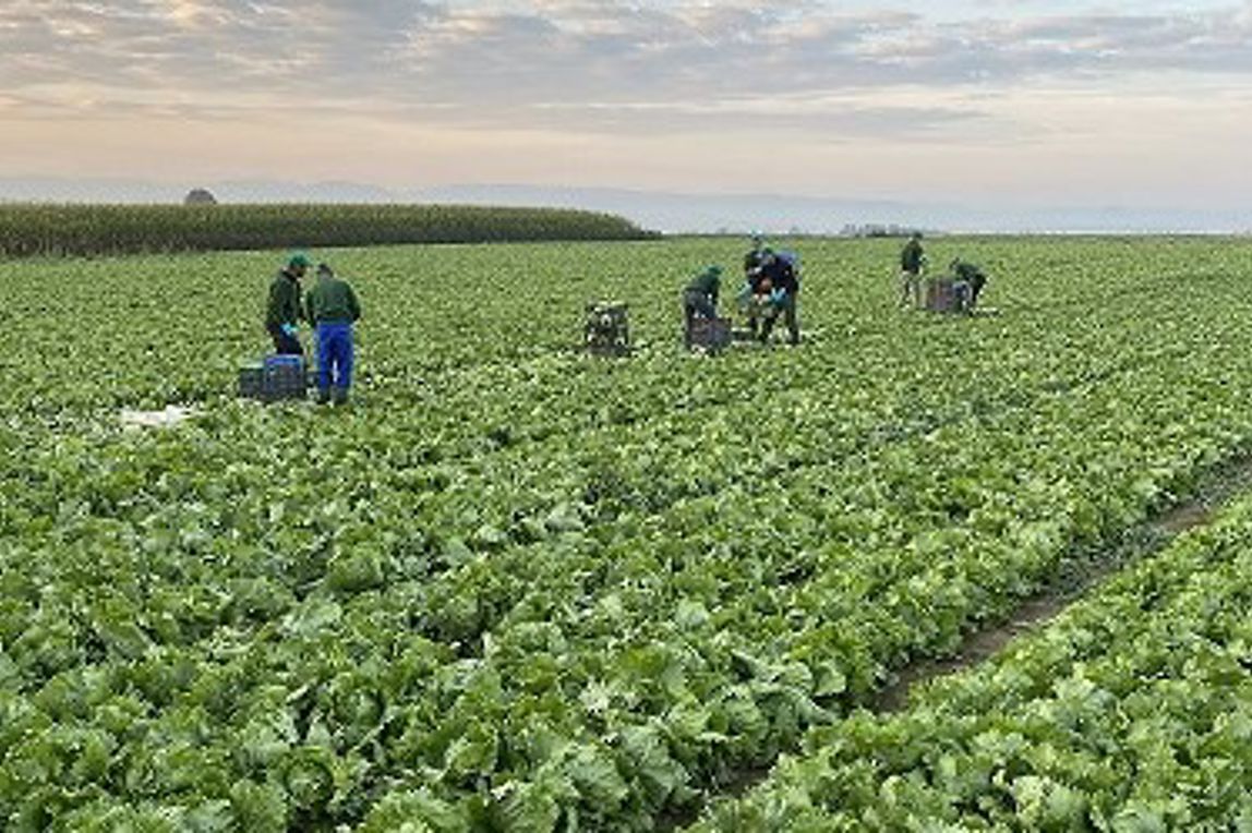 Food Quality & Sourcing