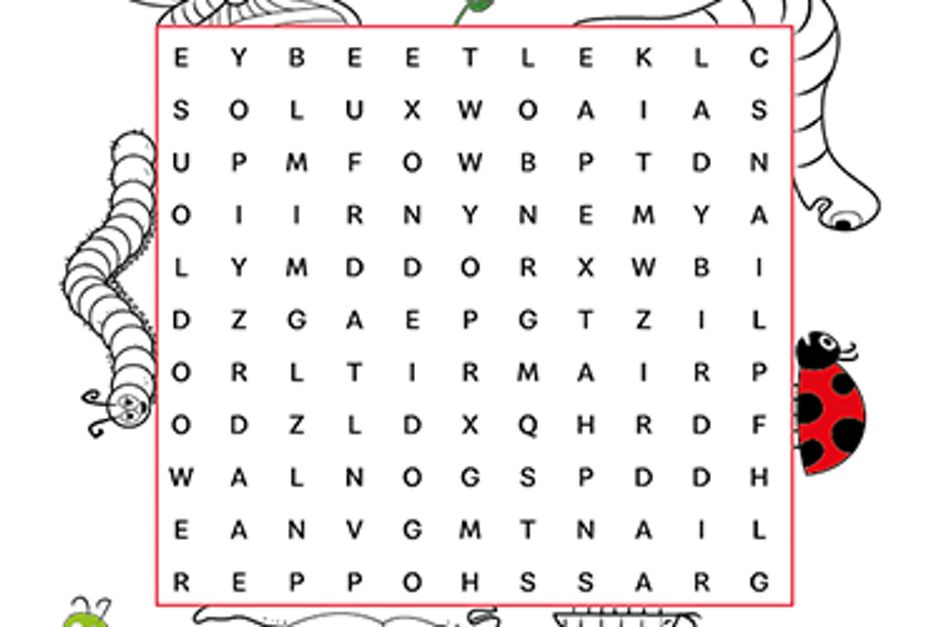 Bug Search wordsearch