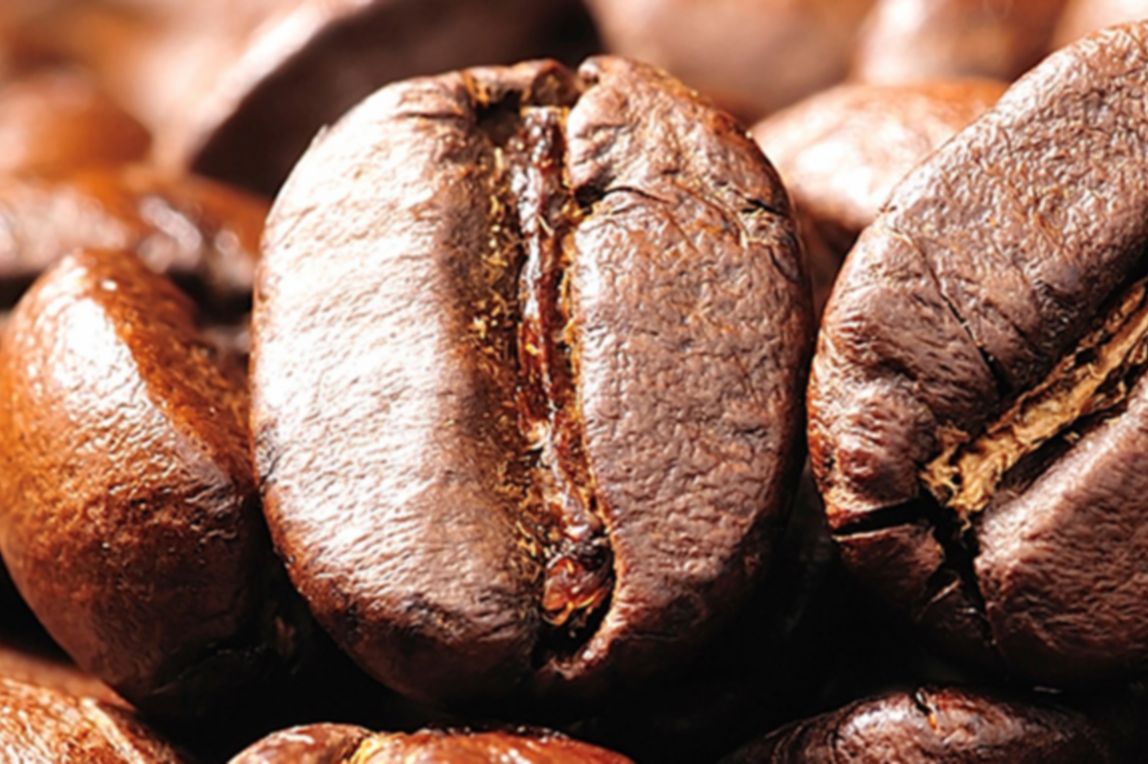 learn more about a coffee supplier, gaviña gourmet coffee