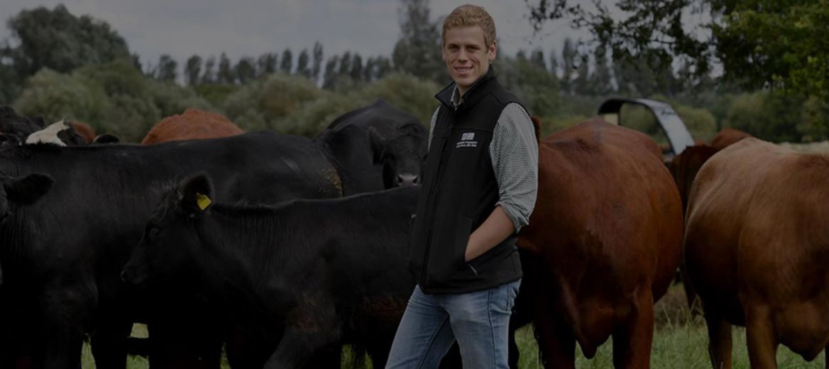 One of McDonald’s Progressive Young Farmers tending cows in a field