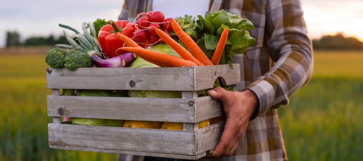 Farmer with a vegetable box in front of a sunset agricultural landscape. Man in a countryside field. The concept of country life, food production, farming and country lifestyle., Farmer with a vegetable box in front of a sunset agricultural landscape. Man in a countryside field. The concept of country life, food production, farming and country lifestyle.