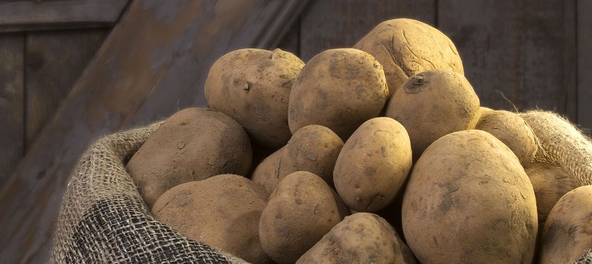 Potatoes in a basket