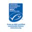 From an MSC certified sustainable fishery