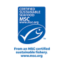 From an MSC certified sustainable fishery