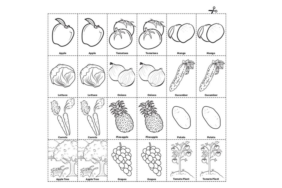 Snap! Cut out and colour in all the fruit and veg cards to see who can match up the pairs the fastest!