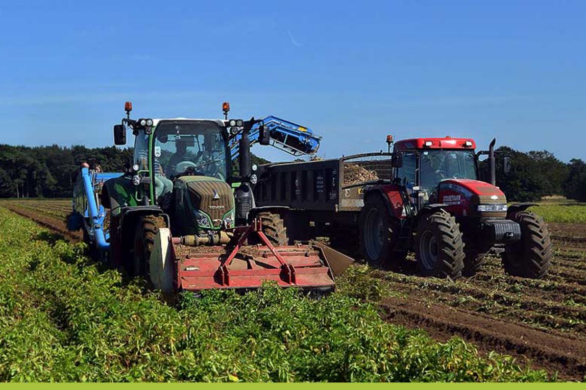 Two tractors harvesting a field. 