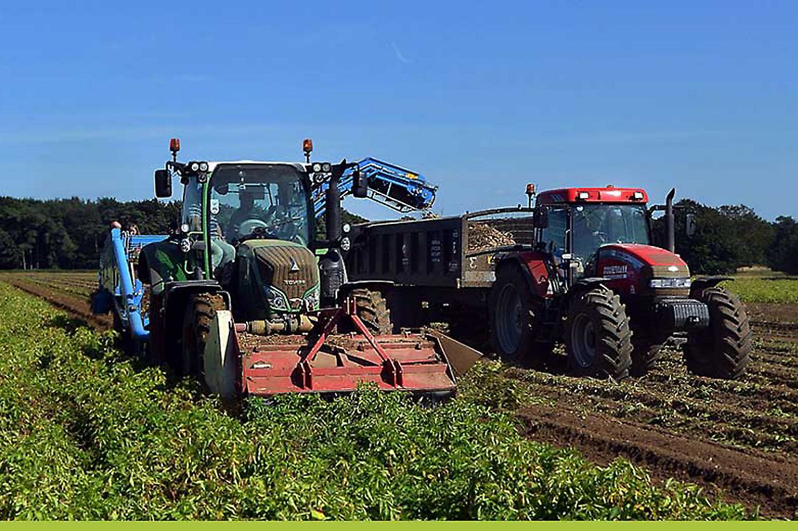 Two tractors harvesting a field. 