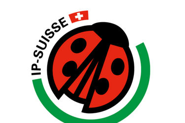 IP Suisse
