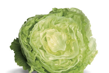 insalate