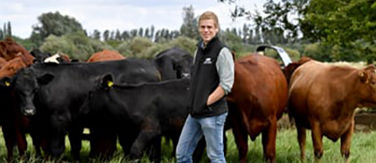 One of McDonald’s Progressive Young Farmers tending cows in a field