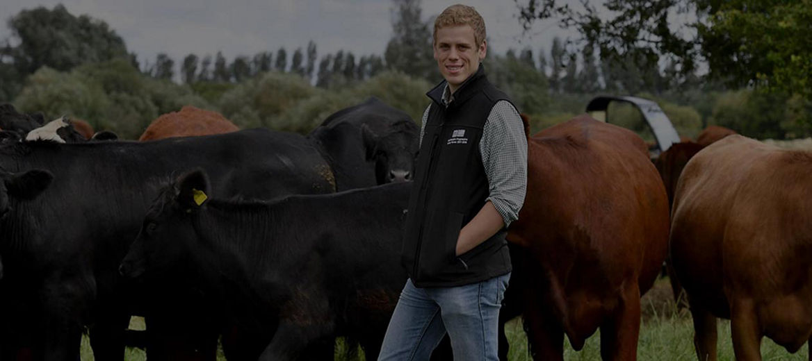 One of McDonald’s Progressive Young Farmers tending cows in a field