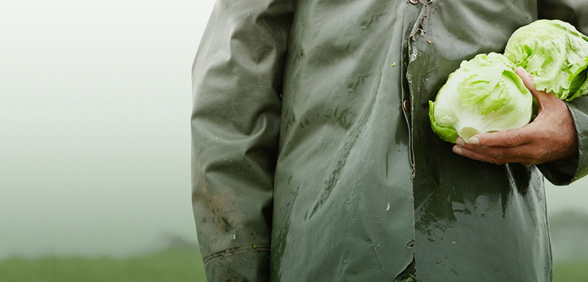 A person with cabbage in hand