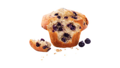 Skinny Blueberry Muffin
