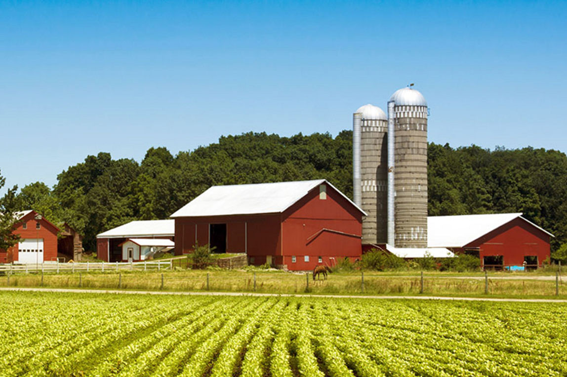 Learn more about a beef supplier, lopez foods