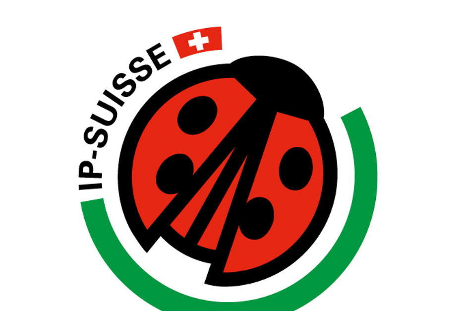 IP Suisse