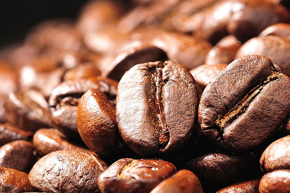 read the gaviña gourmet coffee story