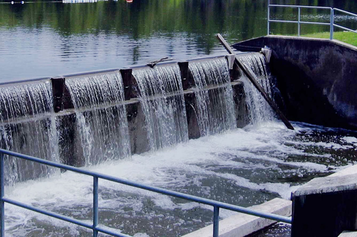 Wir sparen unseren Wasserkraftstrom