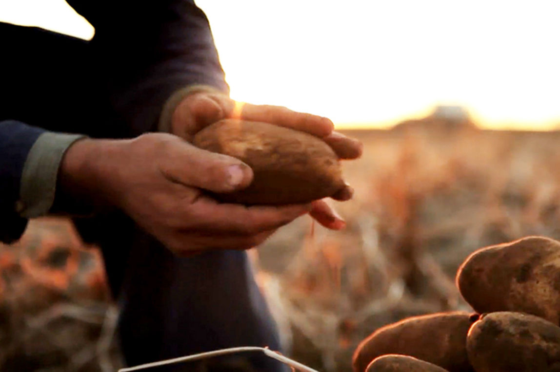 learn more about a potato farmer, frank martinez