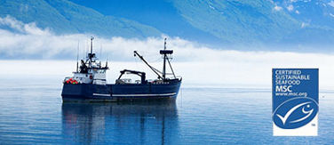 A boat in the sea with the MSC logo.