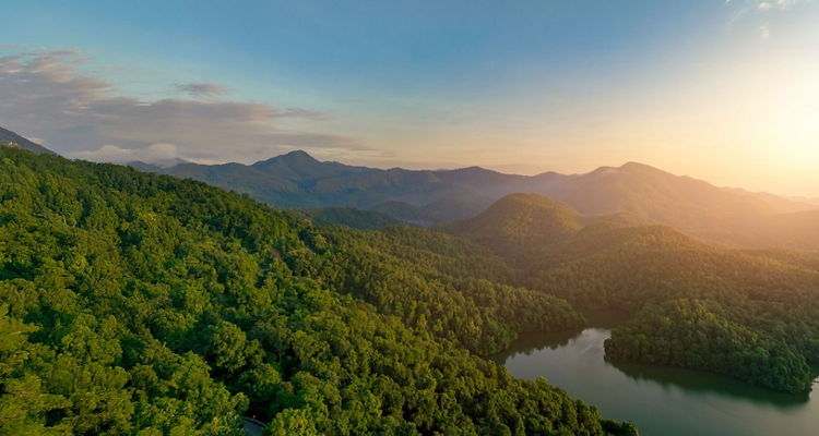 MFS Net Zero Progress Report 2025