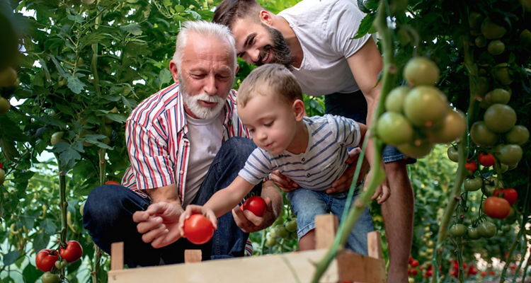Multigenerational Conversation Openers