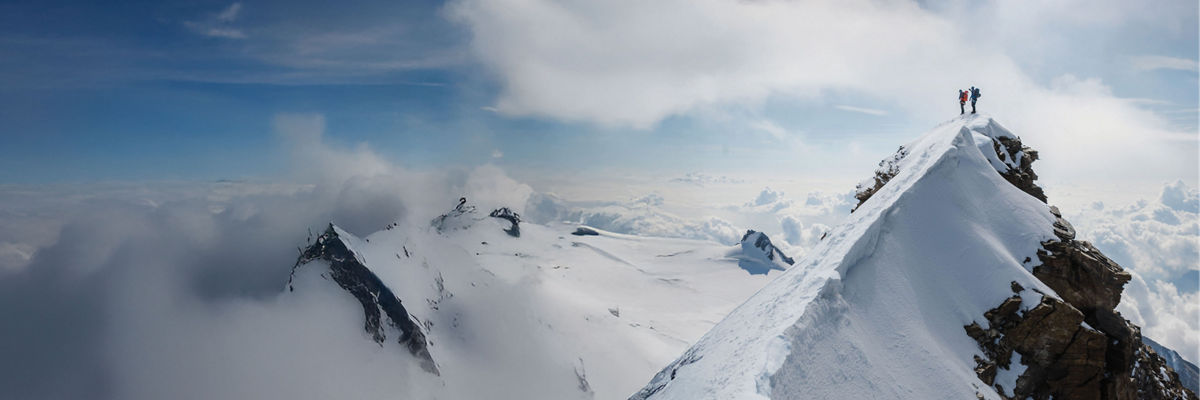 mfs fixed income capabilities