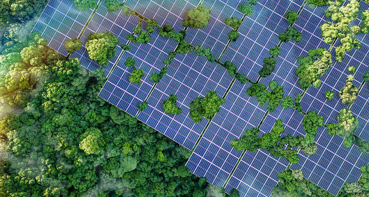 <p>Die totale Verwirrung: Was ESG-Ratings so schwierig macht</p>
