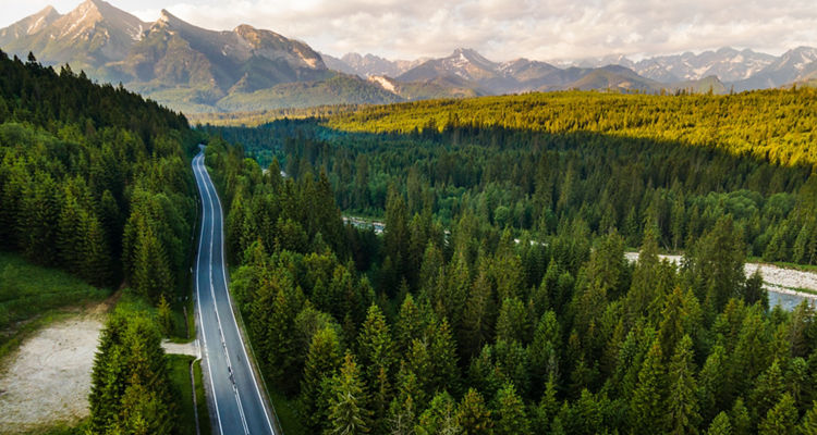 2026 MFS DC Plan Sponsor Survey: <br />
Building Towards Better Outcomes