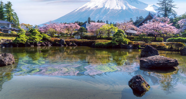 <p>Japan’s Revitalization In The Reiwa Era</p>
