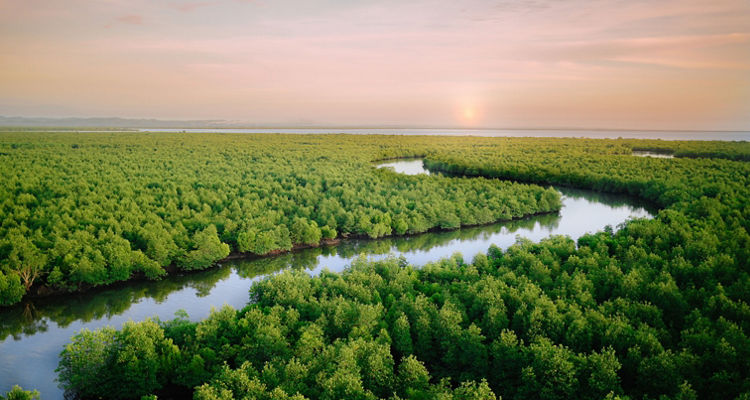 <p style="text-align: left;">2024 MFS DC Plan Sponsor Survey: Building Better Outcomes</p>
