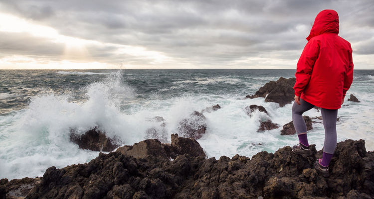 Weathering Market Downturns