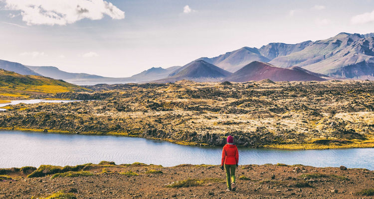 We Mean Business Cycle – The Implications for Asset and Sector Allocation