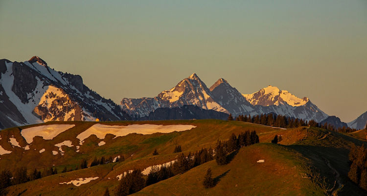 <p>Expanding Horizons: The Case for Global Bonds in Liability-Driven Investing</p>
