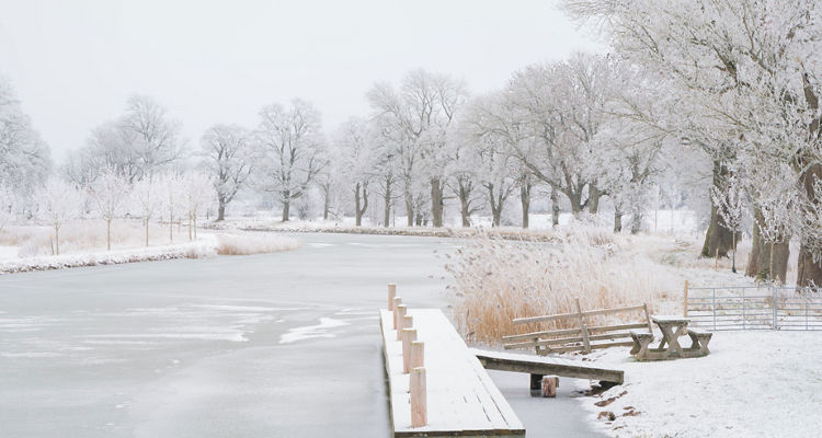 Markets Hold Firm amid Heavy News Flow