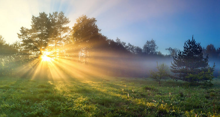 <p>Exploring Opportunities for Global Small- and Mid-Cap Stocks in the Next Cycle</p>

