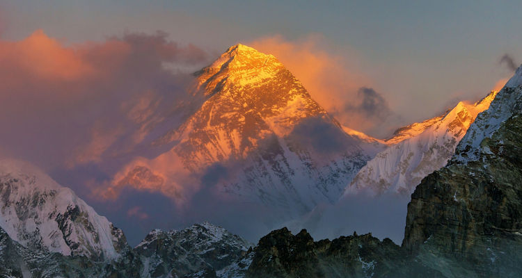 AI Job Loss Concerns Grow