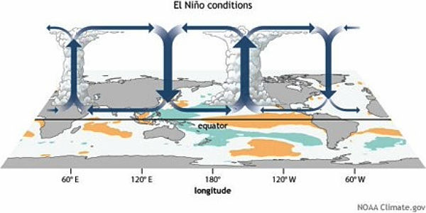 The 2026 El Niño: Implications for global catastrophe risk