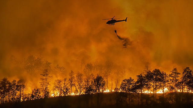 north america wildfires