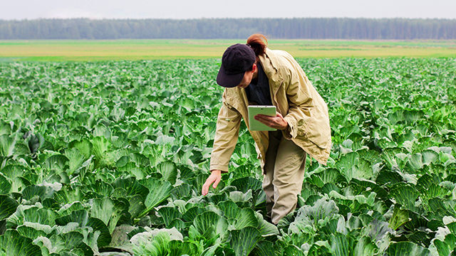 Modernizing agricultural lending