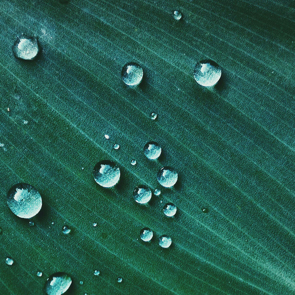 Physical and transition risk